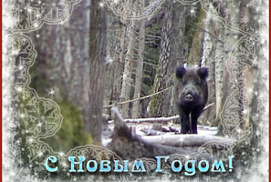Дорогие друзья! В Новом Году хочется пожелать вам...